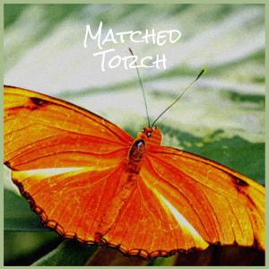 Various的专辑Matched Torch