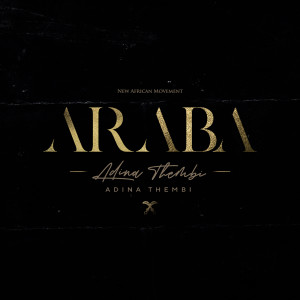 ดาวน์โหลดและฟังเพลง Why พร้อมเนื้อเพลงจาก Adina Thembi