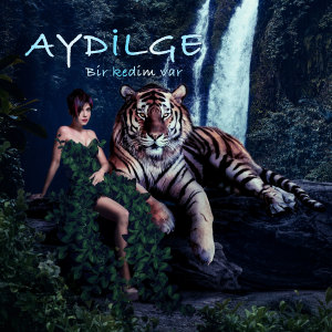 Dengarkan Bir Kedim Var lagu dari Aydilge dengan lirik