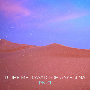 收听PNKJ的Tujhe Meri Yaad Toh Aayegi Na歌词歌曲