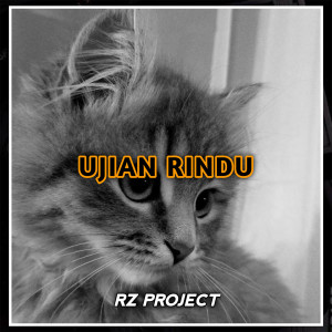Dengarkan lagu UJIAN RINDU nyanyian RZ Project dengan lirik