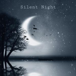 James Geiger的專輯Silent Night (feat. Jeff Scott)
