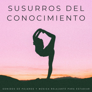 Album Susurros Del Conocimiento: Sonidos De Pájaros Y Música Relajante Para Estudiar from Música Instrumental Maestro