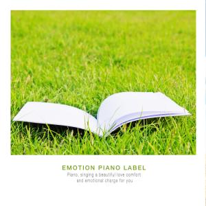 Album Haruki's New Age Music from Various Artists