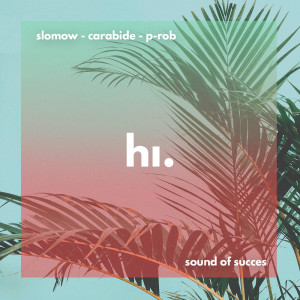 Listen to Sound Of Succes song with lyrics from Slomow
