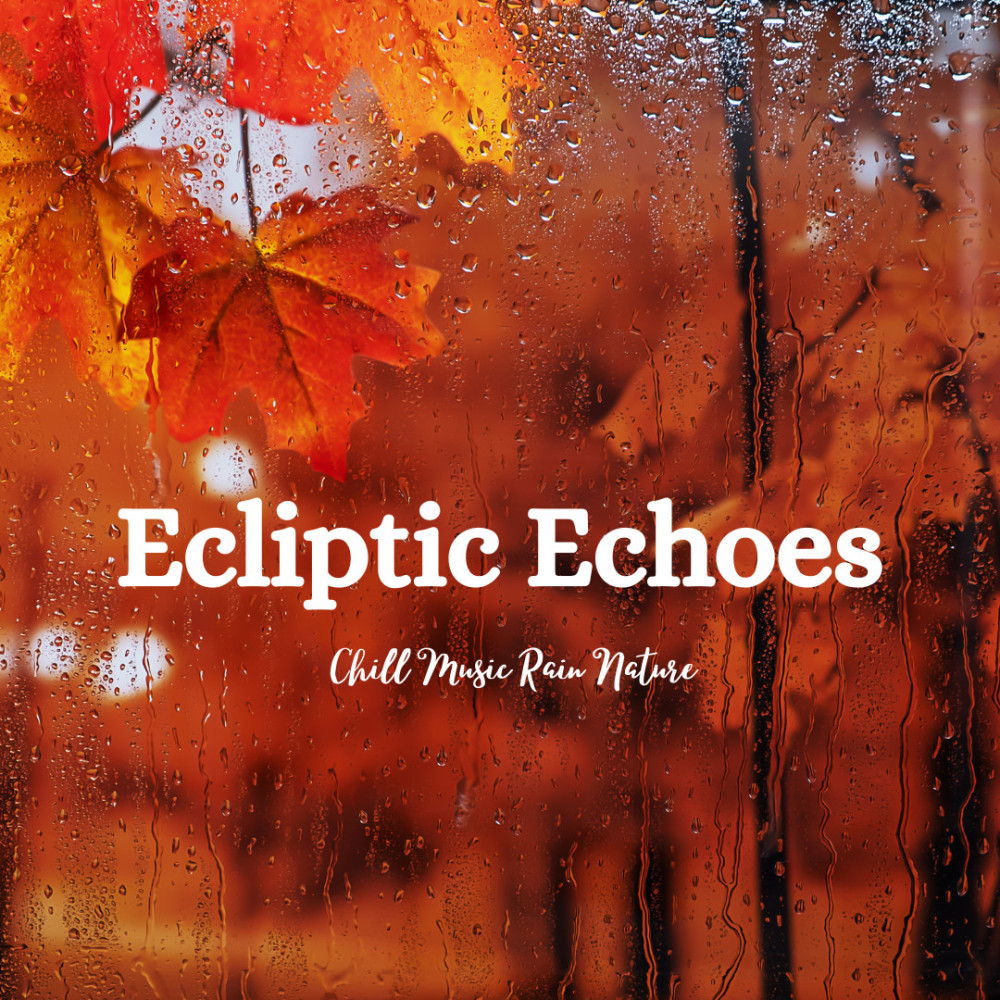 Ecliptic Echoes in the Forest