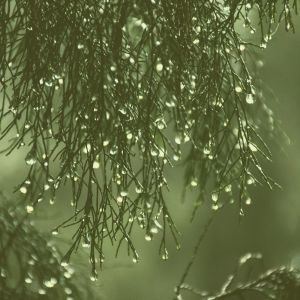 收聽เพลงนอนหลับ จักรวาล的ความประทับใจ(ผ่อนคลาย)歌詞歌曲