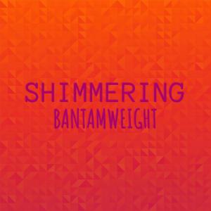 อัลบัม Shimmering Bantamweight ศิลปิน Various Artists