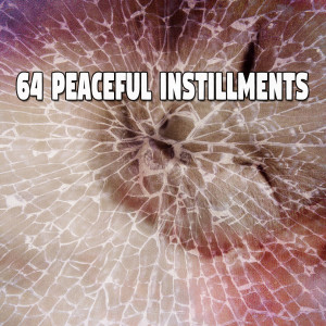 64 Peaceful Instillments