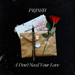 Prinsh的專輯I Don't Need Your Love
