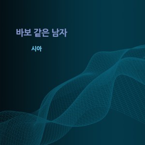 Album 바보 같은 남자 from 시아