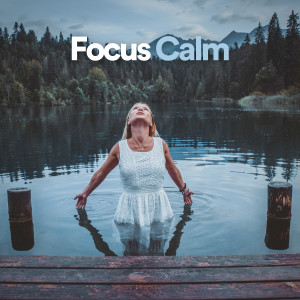 Album Focus Calm from Focusity
