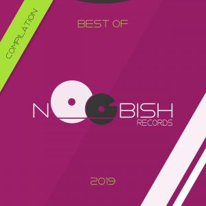 Noobish Records的專輯Best of 2019 Compilation