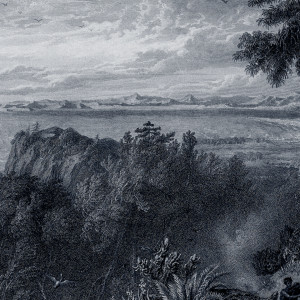 Album Echoes From Okavango from Vardae