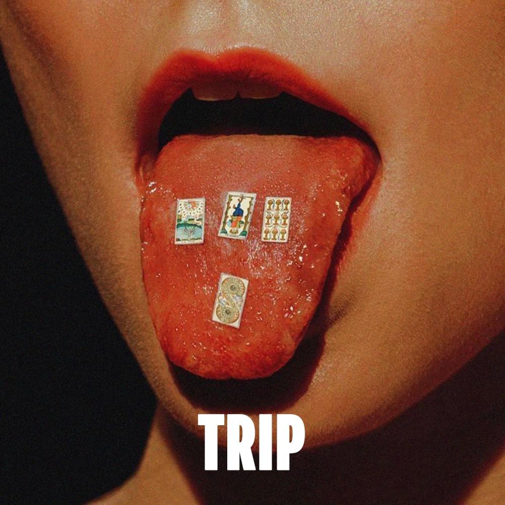 Trip (Instrumental)