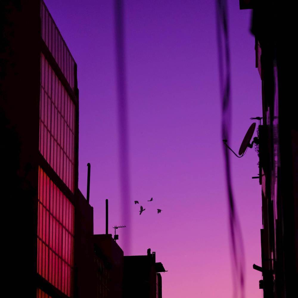 Window