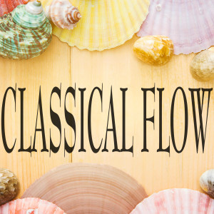 Nologo的专辑Classical flow (Electronic Version)