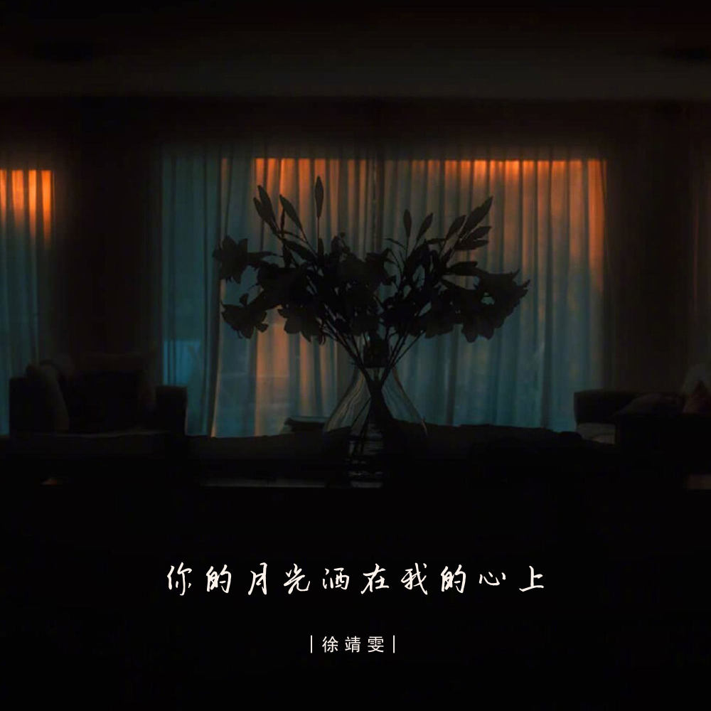 你的月光洒在我的心上 (伴奏)