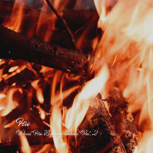 Jazz for Work的專輯Fire: Wood Fire Burning Sound Vol. 2