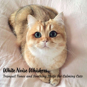 White Noise Whiskers: Tranquil Tones and Soothing Static for Calming Cats dari White Noise Healing Power