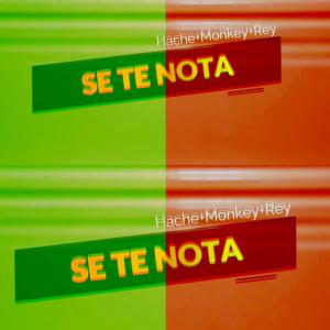 Listen to Se Te Nota song with lyrics from Rey el componente