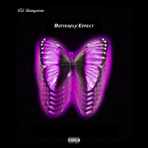TD Bxngstar的專輯Butterfly Effect (Explicit)