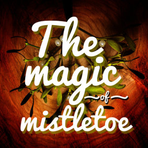อัลบัม The Magic of Mistletoe ศิลปิน Mistletoe Holidays