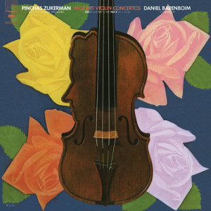ดาวน์โหลดและฟังเพลง Violin Concerto No. 1 in B-Flat Major, K. 207: I. Allegro moderato พร้อมเนื้อเพลงจาก Daniel Barenboim