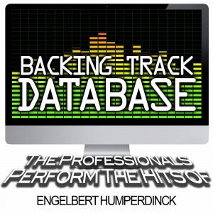 ดาวน์โหลดและฟังเพลง Am I Easy to Forget (Instrumental) (Inst.) พร้อมเนื้อเพลงจาก The Professionals