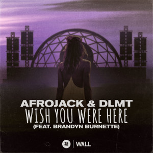 ดาวน์โหลดและฟังเพลง Wish You Were Here (feat. Brandyn Burnette) พร้อมเนื้อเพลงจาก Afrojack