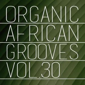 Listen to High Grade Only song with lyrics from Purple Man