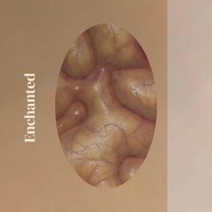 ดาวน์โหลดและฟังเพลง Wall Sparring พร้อมเนื้อเพลงจาก Ravee Carpe