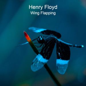 Album Wing Flapping from Henry Floyd