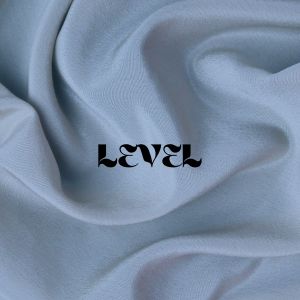 Listen to Level (Explicit) song with lyrics from Fejbs