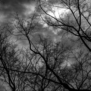 收听NXVXR的Melancholy (Explicit)歌词歌曲