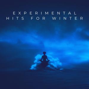 Various Artists的專輯Experimental Hits For Winter