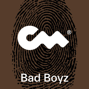 收听groah leeney的Bad Boyz歌词歌曲