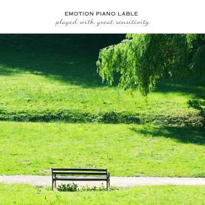 Listen to 그 여름숲을 지나서 Past That Summer Forest song with lyrics from Korea Various Artists