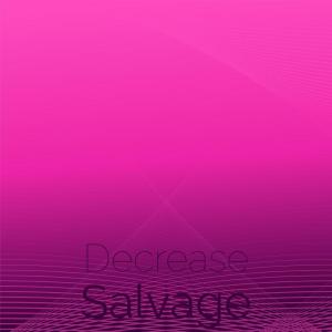 Various Artists的專輯Decrease Salvage