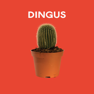 收聽Dingus的Die Young歌詞歌曲