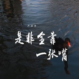Listen to 是非全靠一张嘴 song with lyrics from 卢润泽