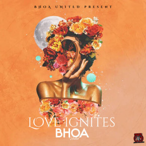 Listen to Love Under a Southern Sky song with lyrics from Bhoa United