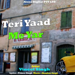 Album Teri Yaad Me Yar from Vineet Singh
