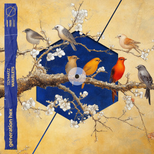 ดาวน์โหลดและฟังเพลง wavelets พร้อมเนื้อเพลงจาก TOYMATZ