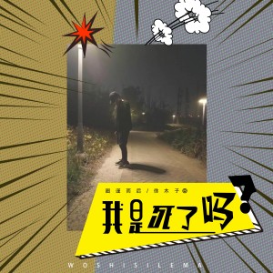 Listen to 我是死了吗 (伴奏) song with lyrics from 徐环