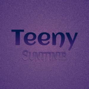 Various Artists的專輯Teeny Sunitinib