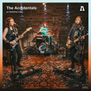 ดาวน์โหลดและฟังเพลง Vessel พร้อมเนื้อเพลงจาก The Accidentals