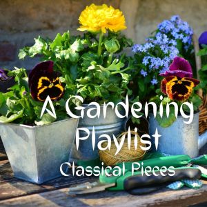 Listen to IV song with lyrics from Glorious Symphony Orchestra
