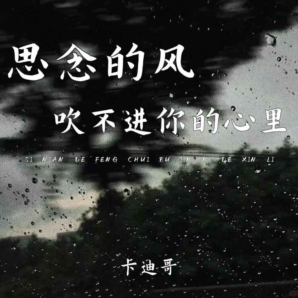 思念的风吹不进你的心里 (DJAX1n版)