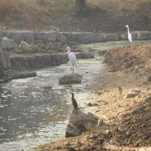 ดาวน์โหลดและฟังเพลง 432meditate พร้อมเนื้อเพลงจาก Clay